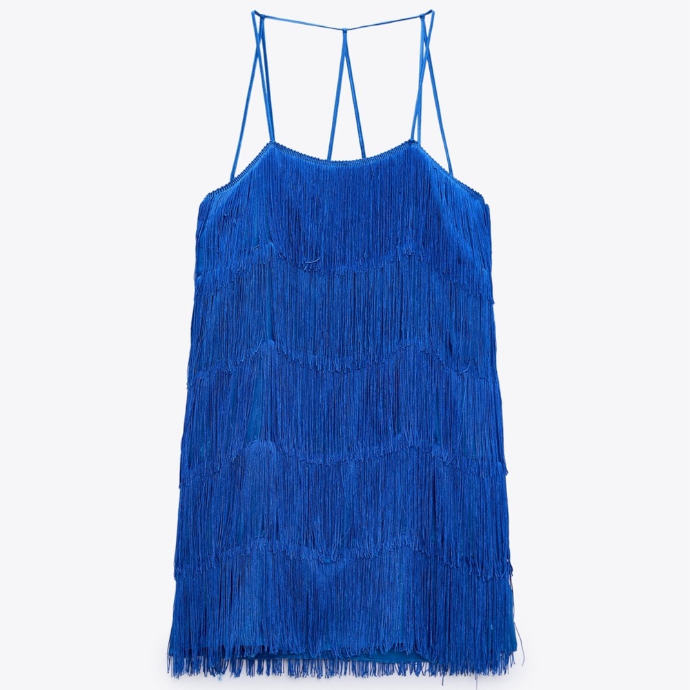 • Zara • Fringed Mini Dress - Picture 3 of 11